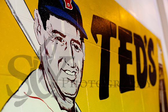 fenway011