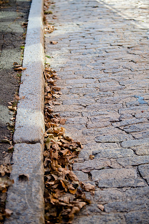 cobblestone006