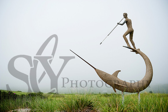 _SLY0708