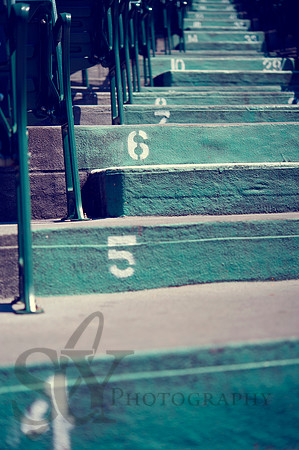 fenway006