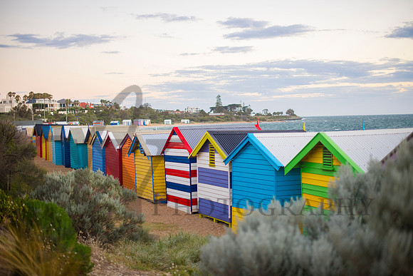 australia037