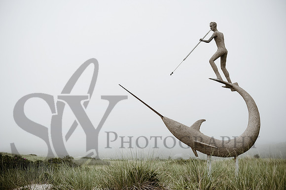 _SLY0708