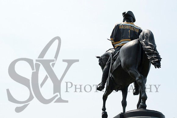 Bruins006