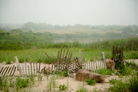 _SLY0683