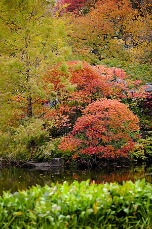 fall_5