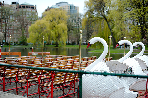 Spring056