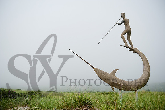 Martha's Vineyard