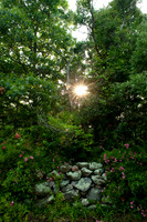 _SLY0765