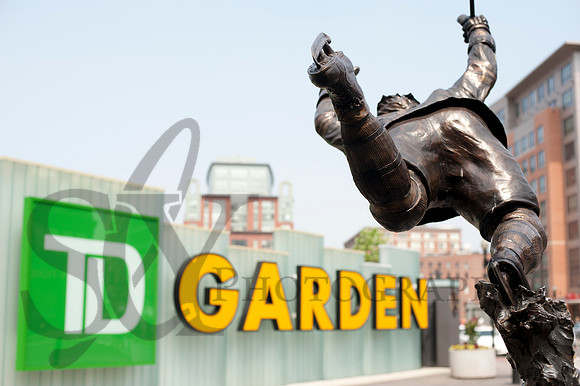 Bruins035