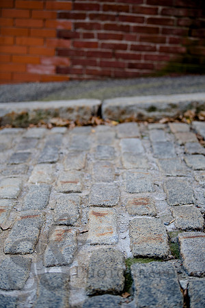 cobblestone020