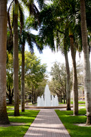 University of Miami