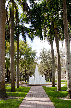 University of Miami